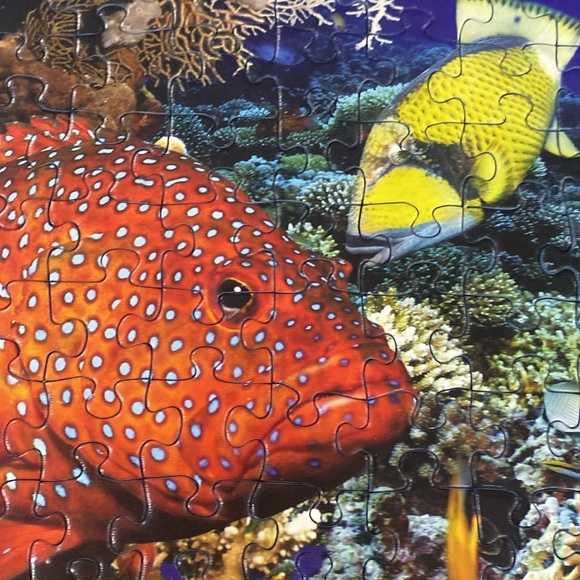 Ravensburger 1000 piece puzzle “Family of Dolphins” 2010 - Picture 2 of 8